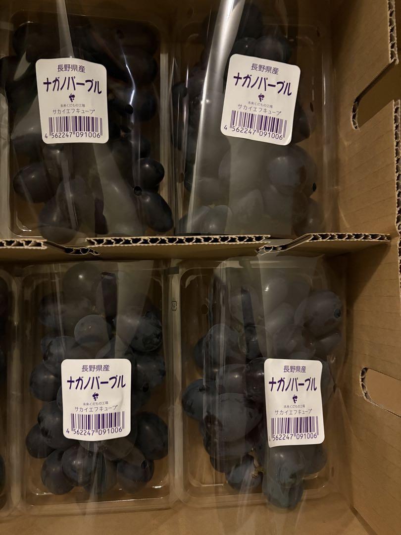 長野県産　高級ぶどう　ナガノパープル　4パックセット