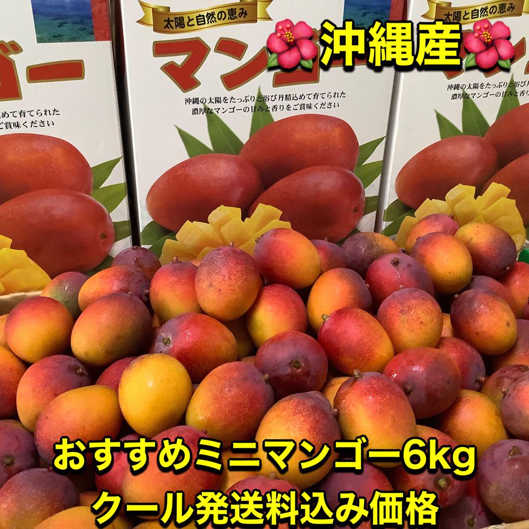 沖縄産 おすすめミニマンゴー (6kg)クール発送