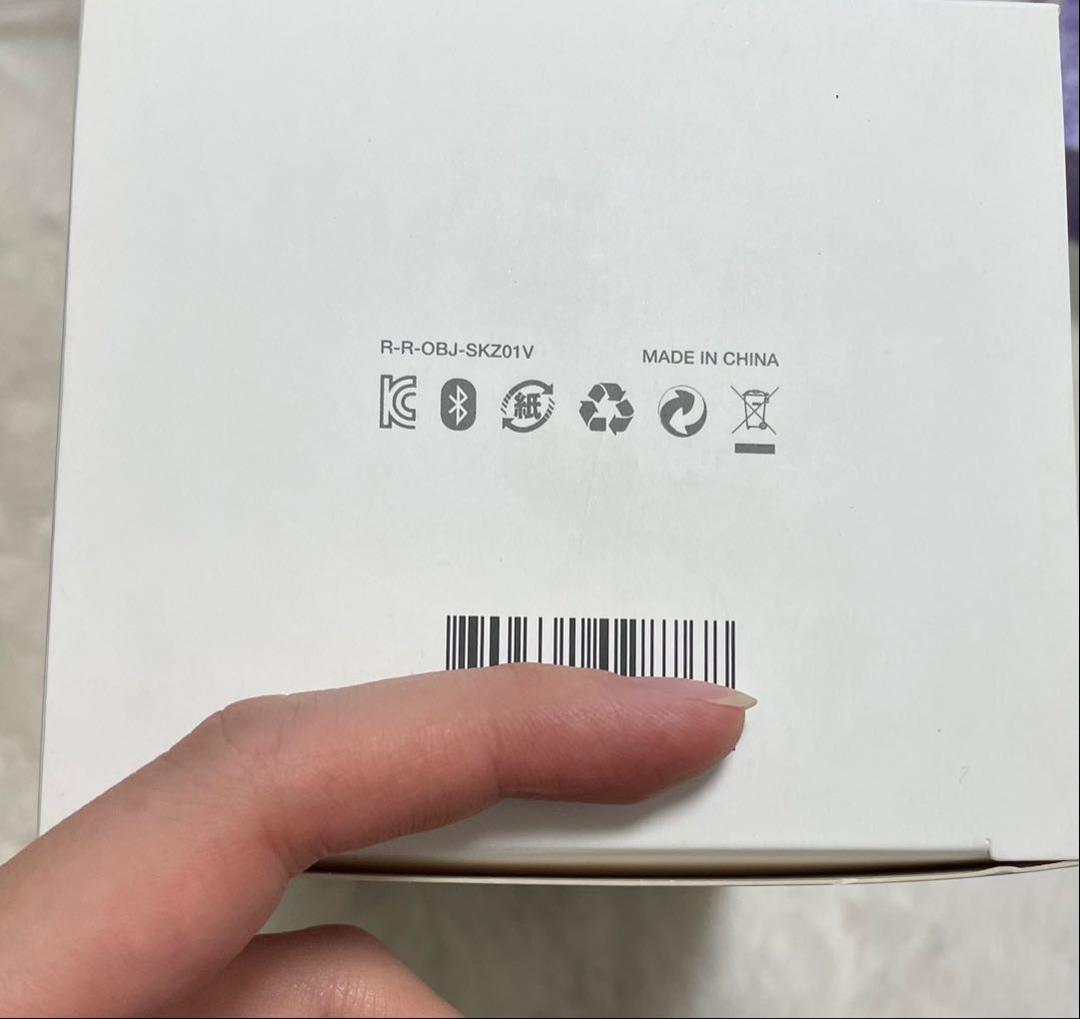 Stray Kids ペンライト ver.1