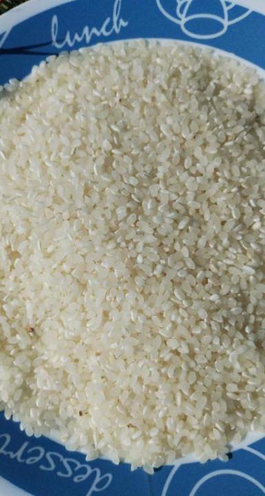 令和6年　　三重県産キヌヒカリ　玄米20キロ　精米無料