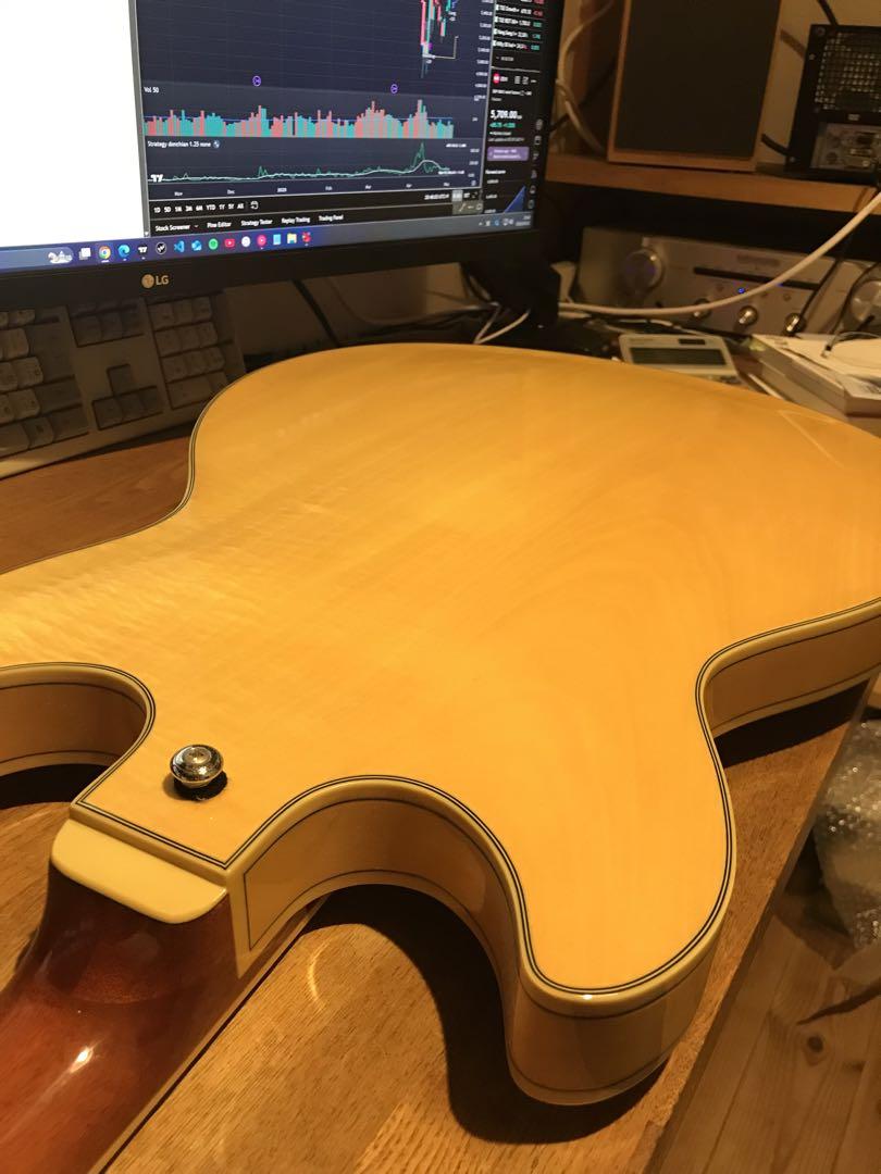 Ibanez セミアコースティックギター AS73D