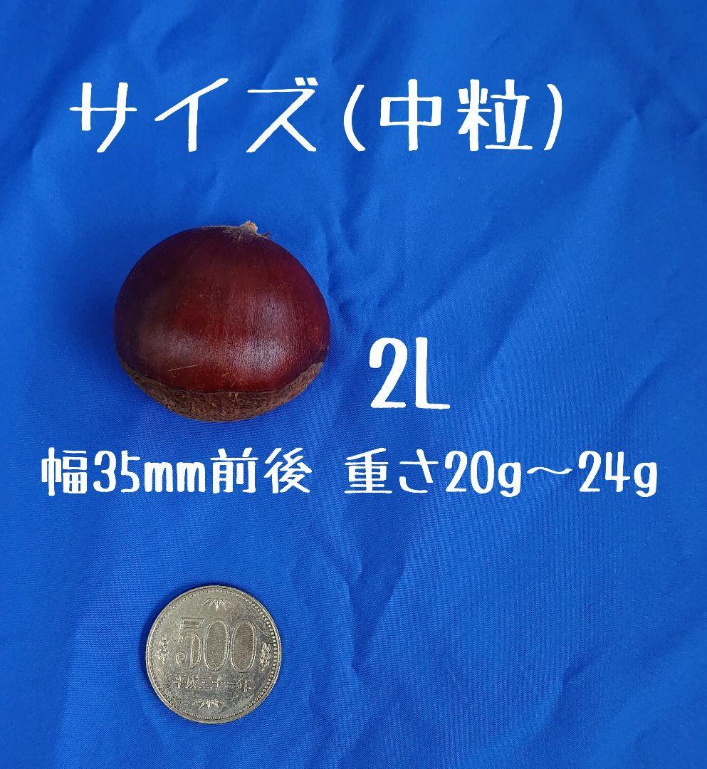 【2024年収穫】低温熟成 栗 4kgサイズ(中粒)