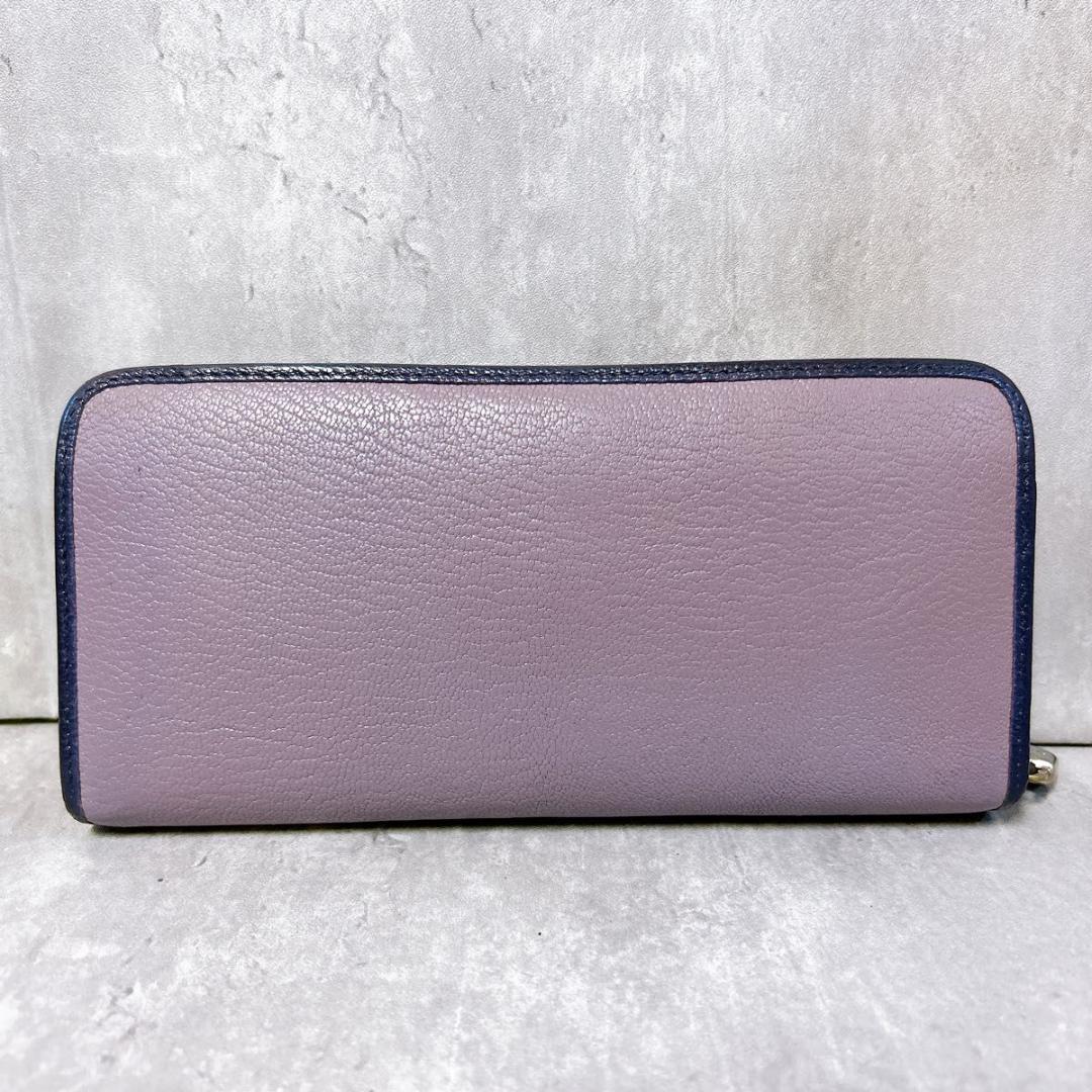 【入手困難】 LOEWE 長財布 アマソナ ラウンドファスナー 南京錠　レザー