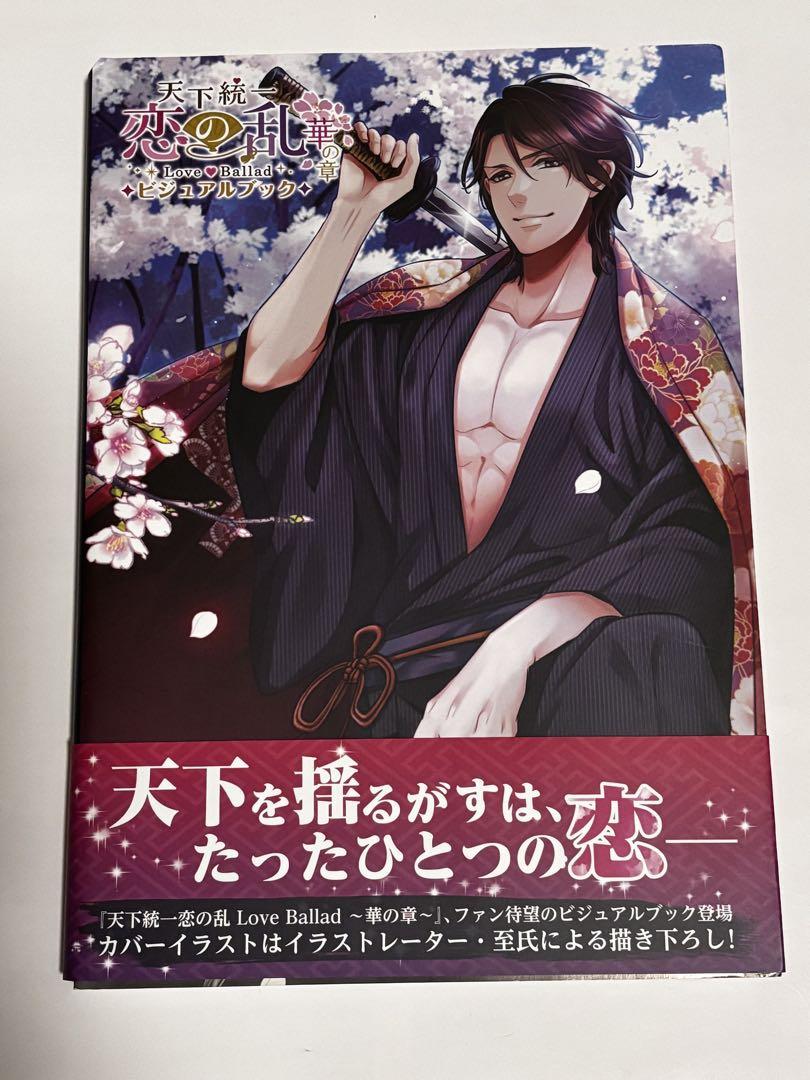 天下統一 恋の乱 DVD & ビジュアルブックセット