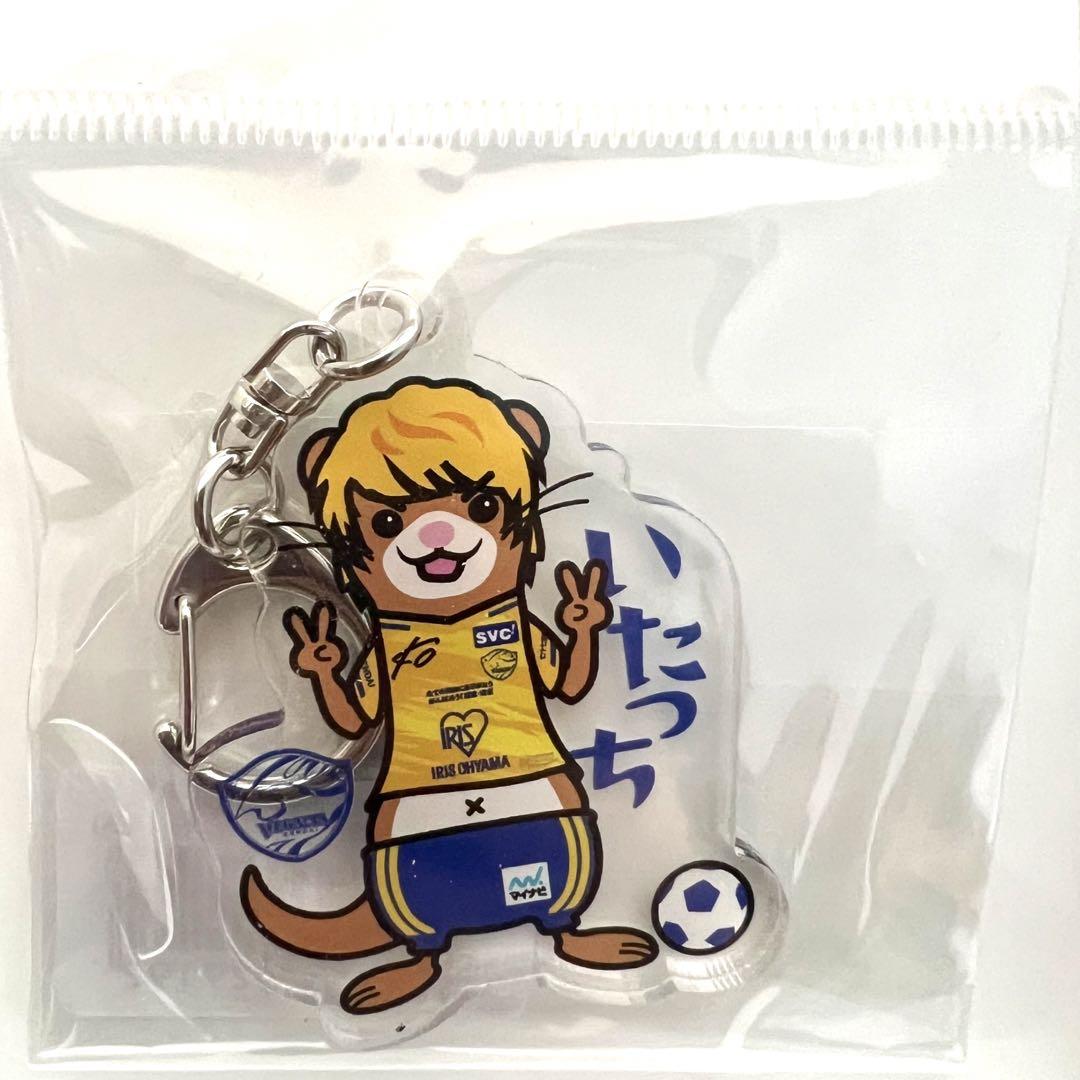 板倉滉 ベガルタ仙台 いたっち キーホルダー 2種セット バックナンバー2018 | 【11月24日 J1 鹿島戦】グッズ情報