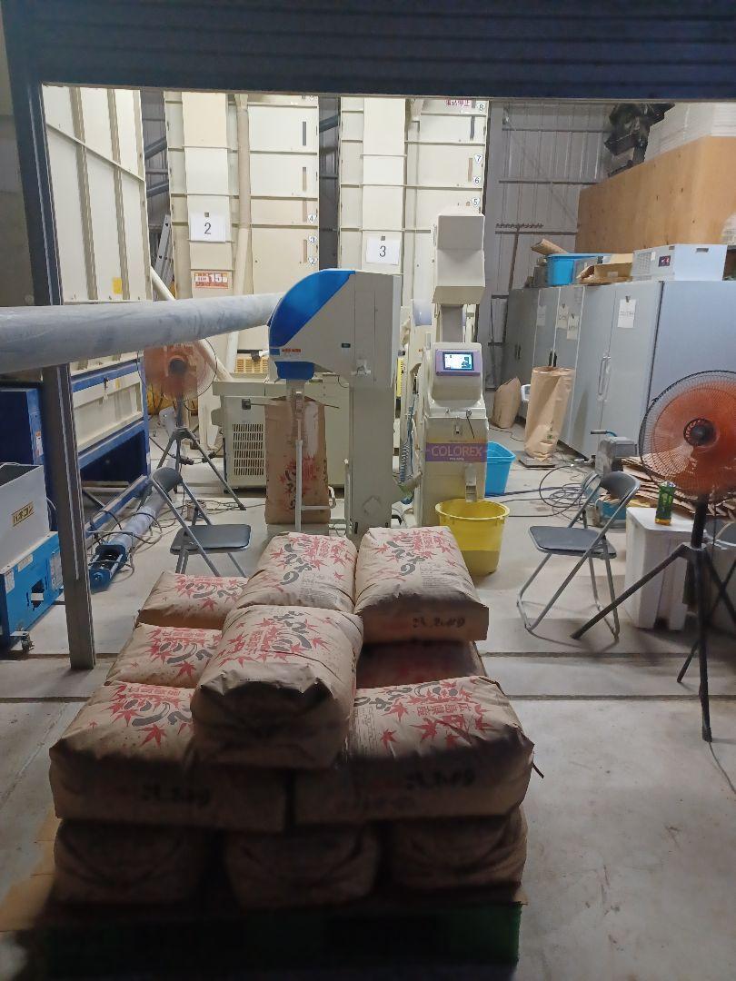 令和すもみ様専用　6年広島県産コシヒカリ　精米20キロ