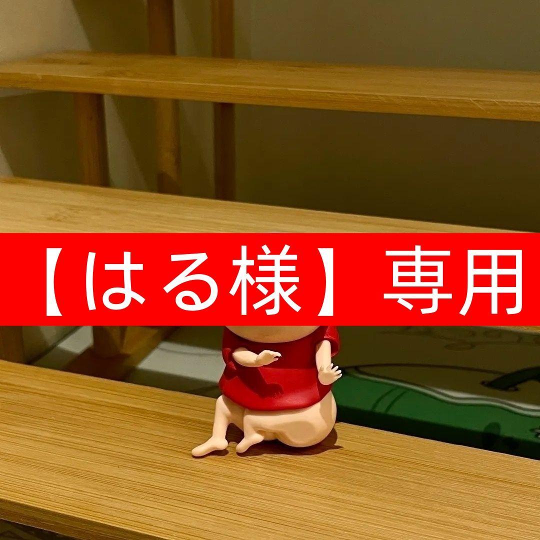 【はる様】専用✩2.6✩