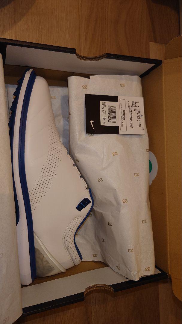 Nike Jordan ADG4（ホワイト/ブルー）