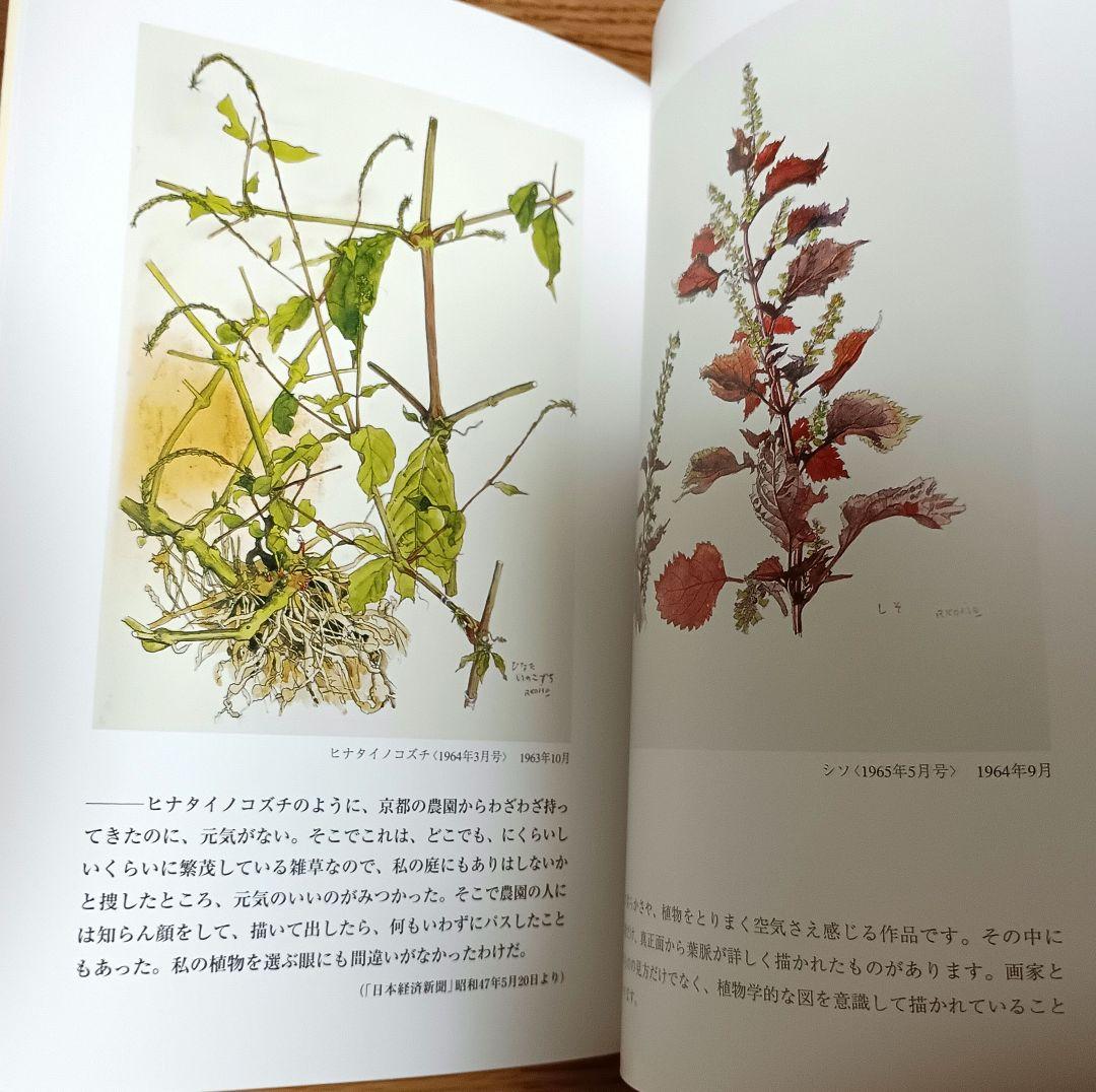 小磯良平　植物画三葉　未使用 Yahoo!オークション -「小磯良平 薬用植物画」の落札相場・落札価格