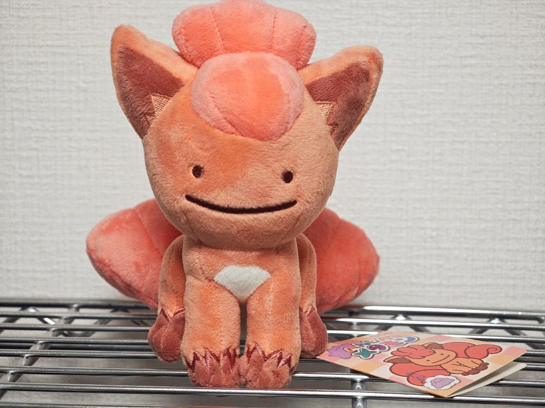 ポケモン ぬいぐるみ へんしんメタモン ロコン新 モデル