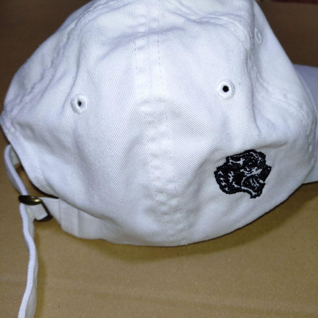 darc sports ✕POWERHOUSE GYM 限定　美品