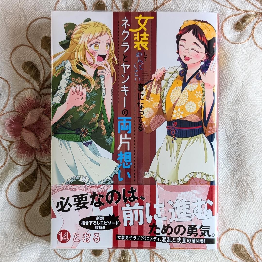 特典5点 女装してめんどくさい事になってるネクラとヤンキーの両