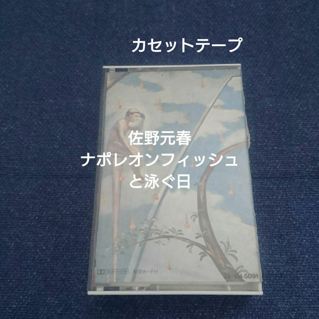 佐野元春 「ナポレオンフィッシュと泳ぐ日」レコード