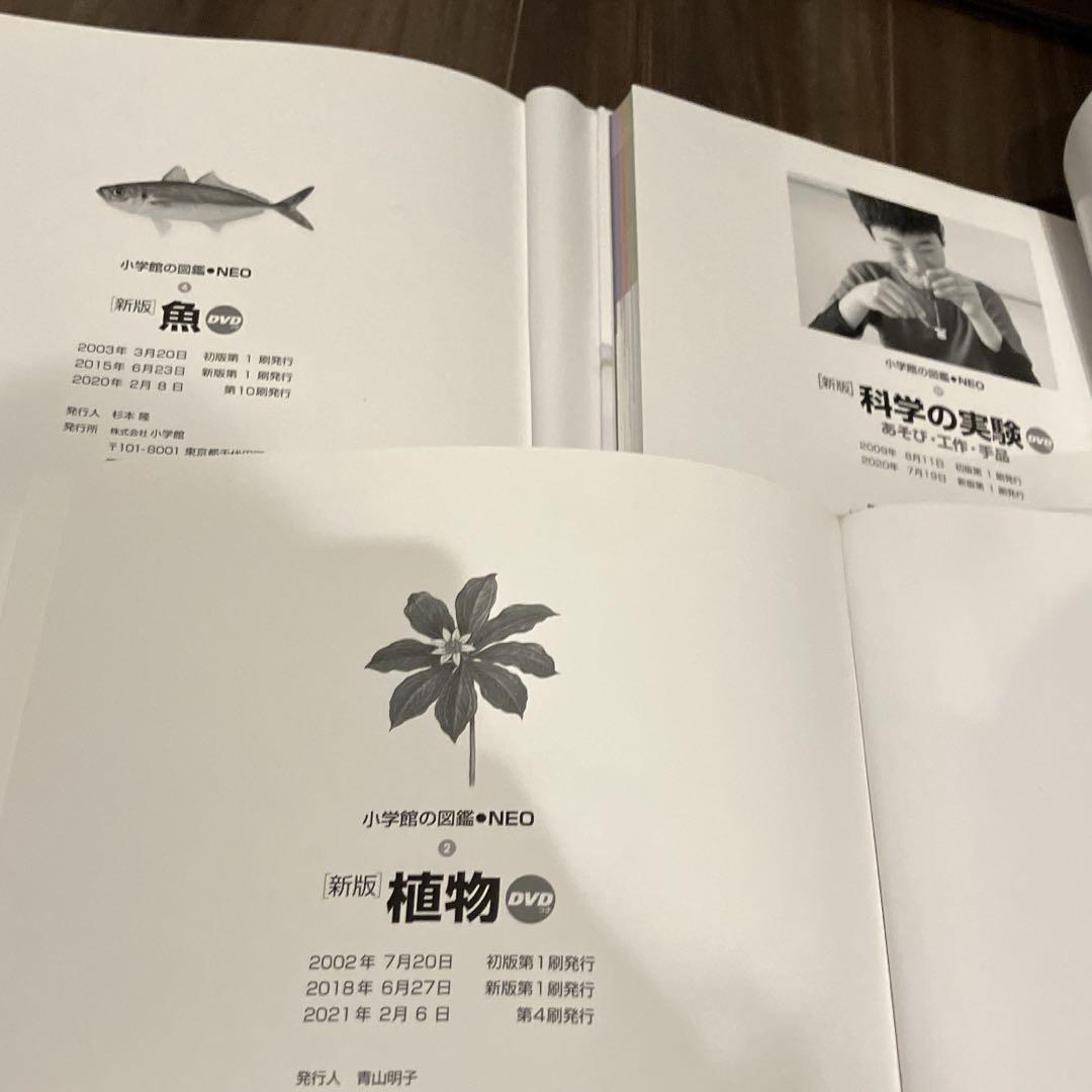 小学館の図鑑NEO 図鑑のみ 自由研究　虫　昆虫2 イモムシとケムシ　魚 小学館の図鑑NEO 図鑑のみ 自由研究 虫 昆虫2 イモムシとケムシ