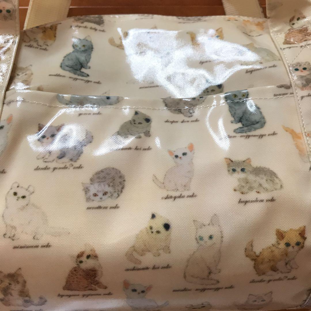フランシュリッペ ねこ図鑑 スリッポン - cna.gob.bo フランシュリッペ ねこ図鑑 スリッポン - cna.gob.bo