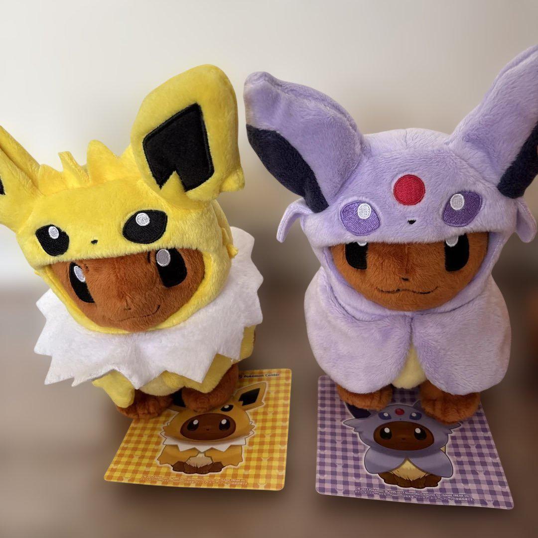 新品未使用タグ付き　ポケモンセンター限定 ブイズのポンチョを着たイーブイ 5種 ポケットモンスター ポケモンセンター ブイズ ポンチョ 新品 未