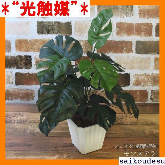 メルカリ 光触媒 造花 フェイク インテリア グリーン 多肉 テラ 観葉植物 9 インテリア 住まい 小物 6 400 中古や未使用のフリマ メルカリ 光触媒 造花 フェイク インテリア グリーン 多肉 テラ 観葉植物 9 インテリア 住まい 小物 6 400 中古や未使用のフリマ