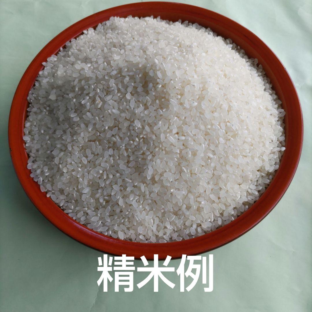 令和6年産　宮城県登米市産ひとめぼれ　精米10kg ひとめぼれ 令和6年産 米10kg お米 精米 宮城県産 ひとめぼれ