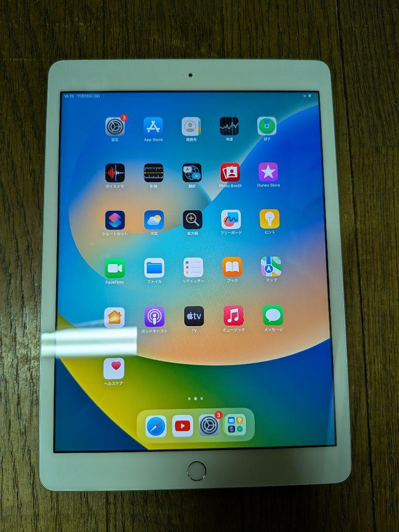 iPad (8th Generation) Wi-Fi + Cellular