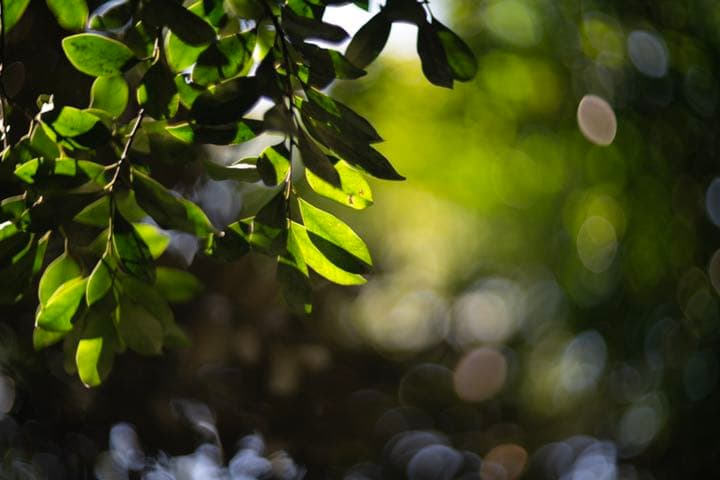 極美品 超希少 シルバー Helios-40 85mm f1.5 ヘリオス | kamed.az