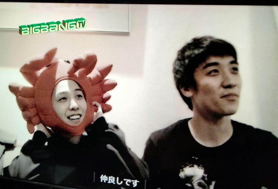 2NE1TV SEASON1・SEASON2 BOX BIGBANG出演あり
