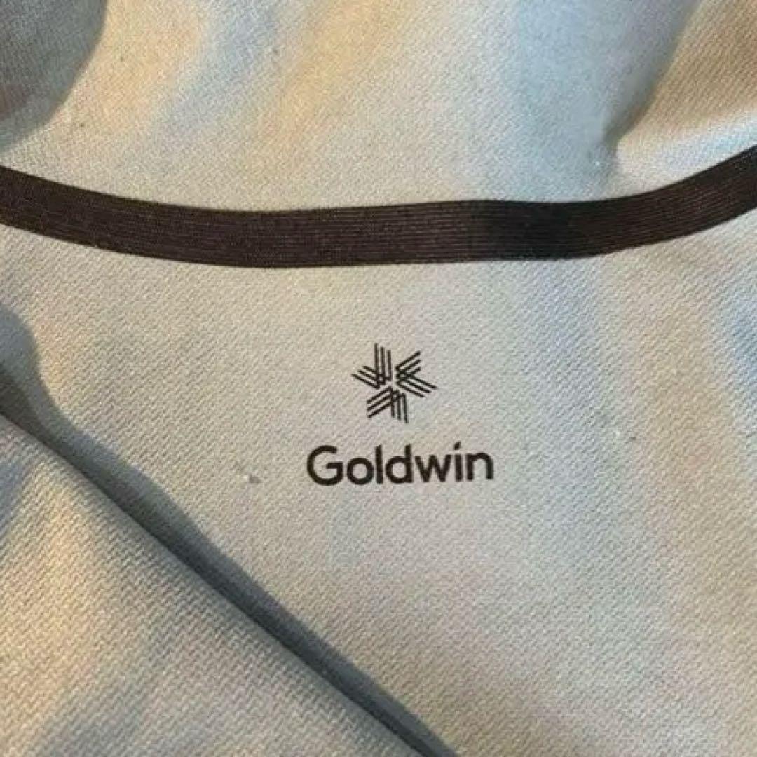GOLDWIN ゴールドウィン フーデッド シュプール ライト プルオーバー GOLDWIN ゴールドウィン フーデッド シュプール ライト プルオーバー