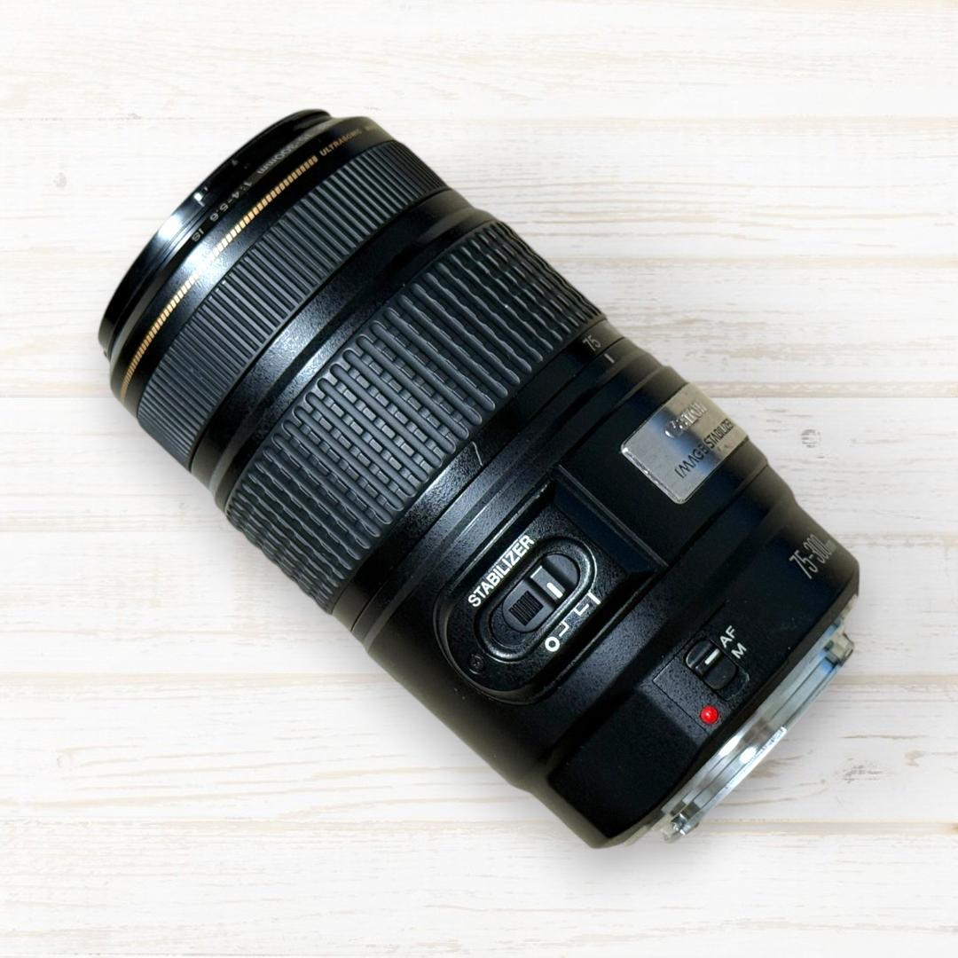 Canon純正 75-300mm 望遠レンズ a3959 Amazon.co.jp: キャノンEF 75-300mm f/4-5.6 III 望遠ズーム