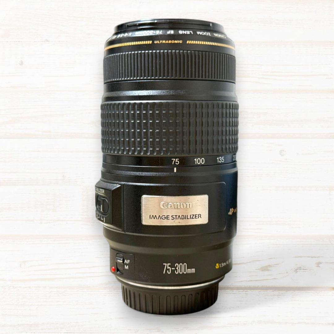 Canon EF 75-300mm F4-5.6 IS USM #94