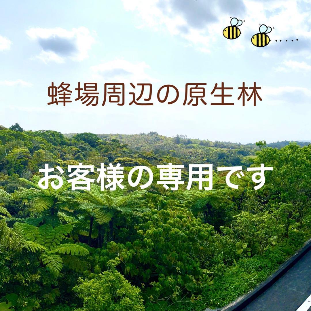 安心の日本みつばち 濃厚82% 春採はちみつ 1100g 貴重品‼ - 通販