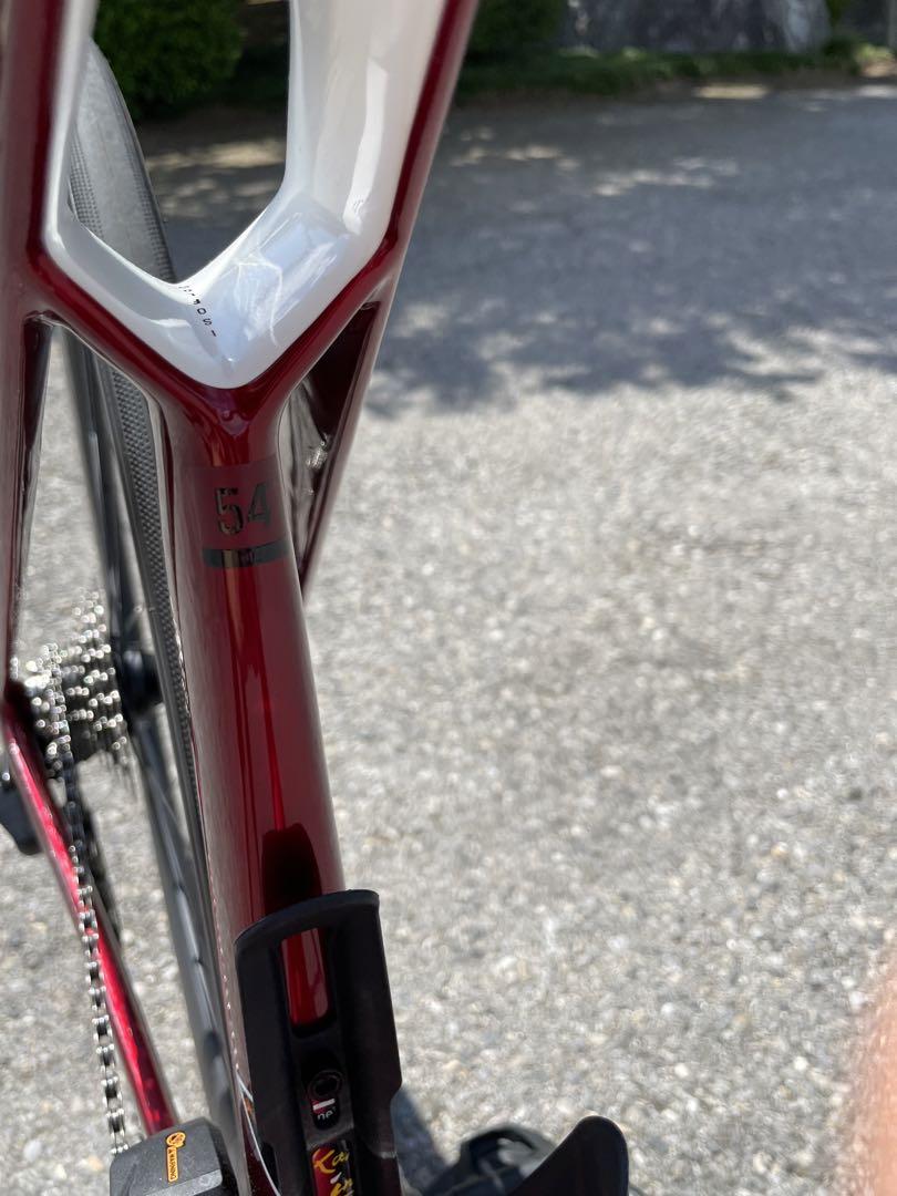 ロードバイクTREK Madone SL 6 Gen 7　54サイズ