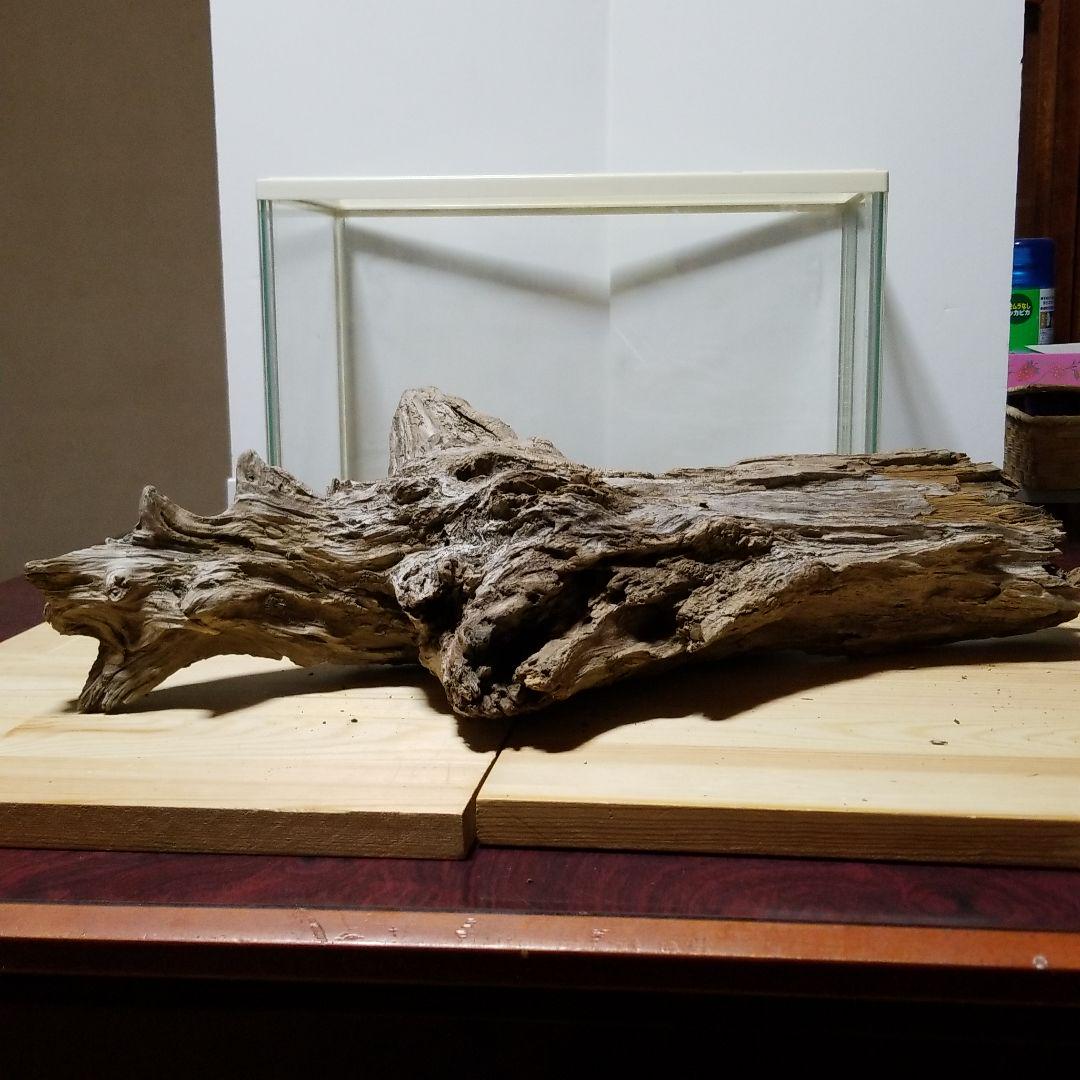 特大サイズ流木(27) 爬虫類 アクアリウム用 - メルカリ