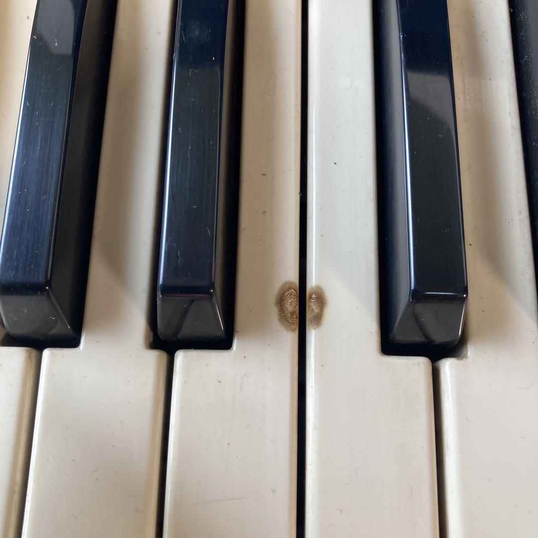 シンセサイザー RS-101