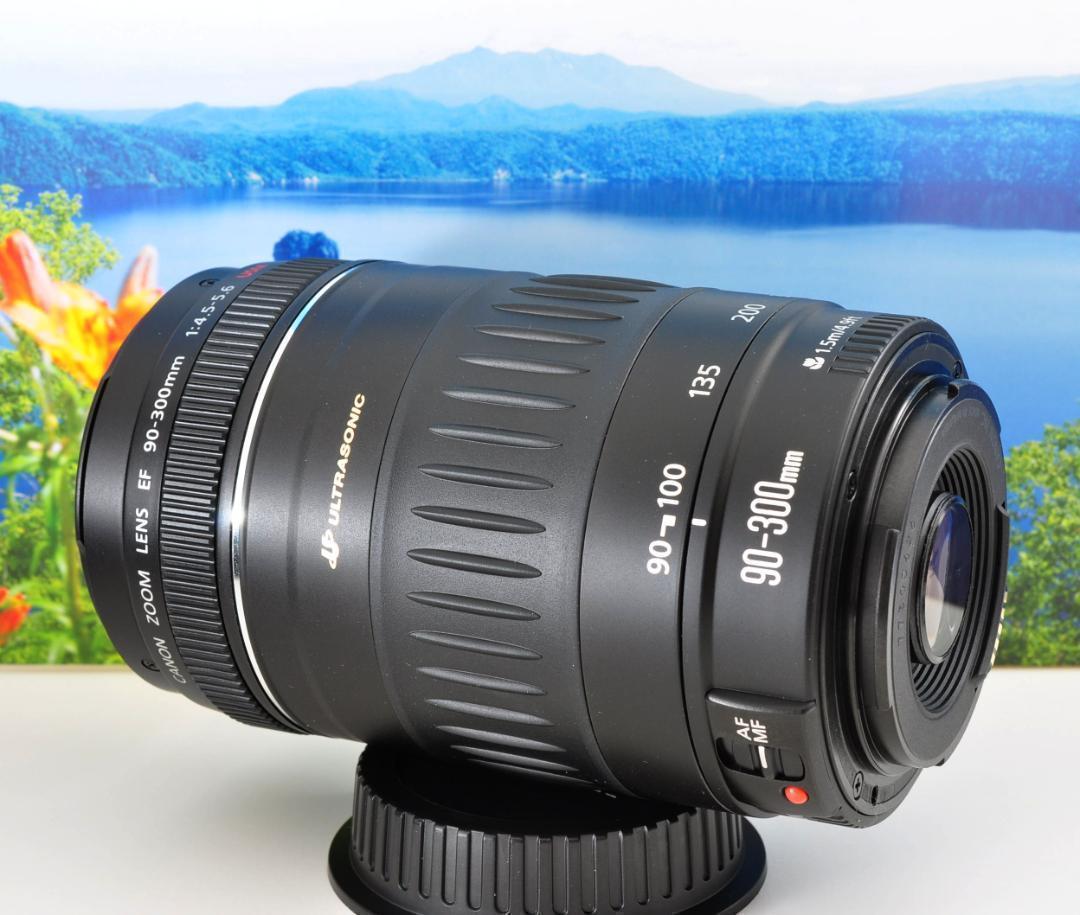 おまけ付き Canon EF 90-300mm 望遠レンズ　レンズ　ズームレンズ EF90-300mm F4.5-5.6 USMが描く幻想的な世界 - 魅惑の中望遠