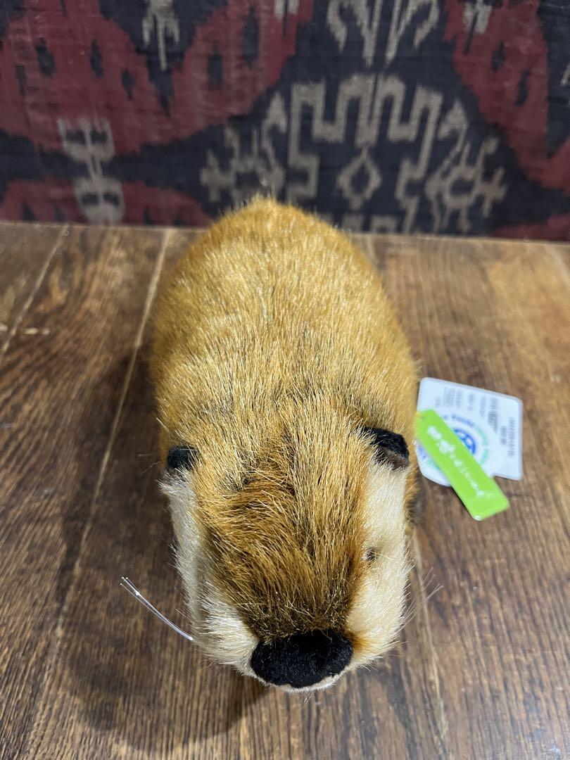 SUPER BEAVER スーパービーバー 吉徳 通販 ぬいぐるみ