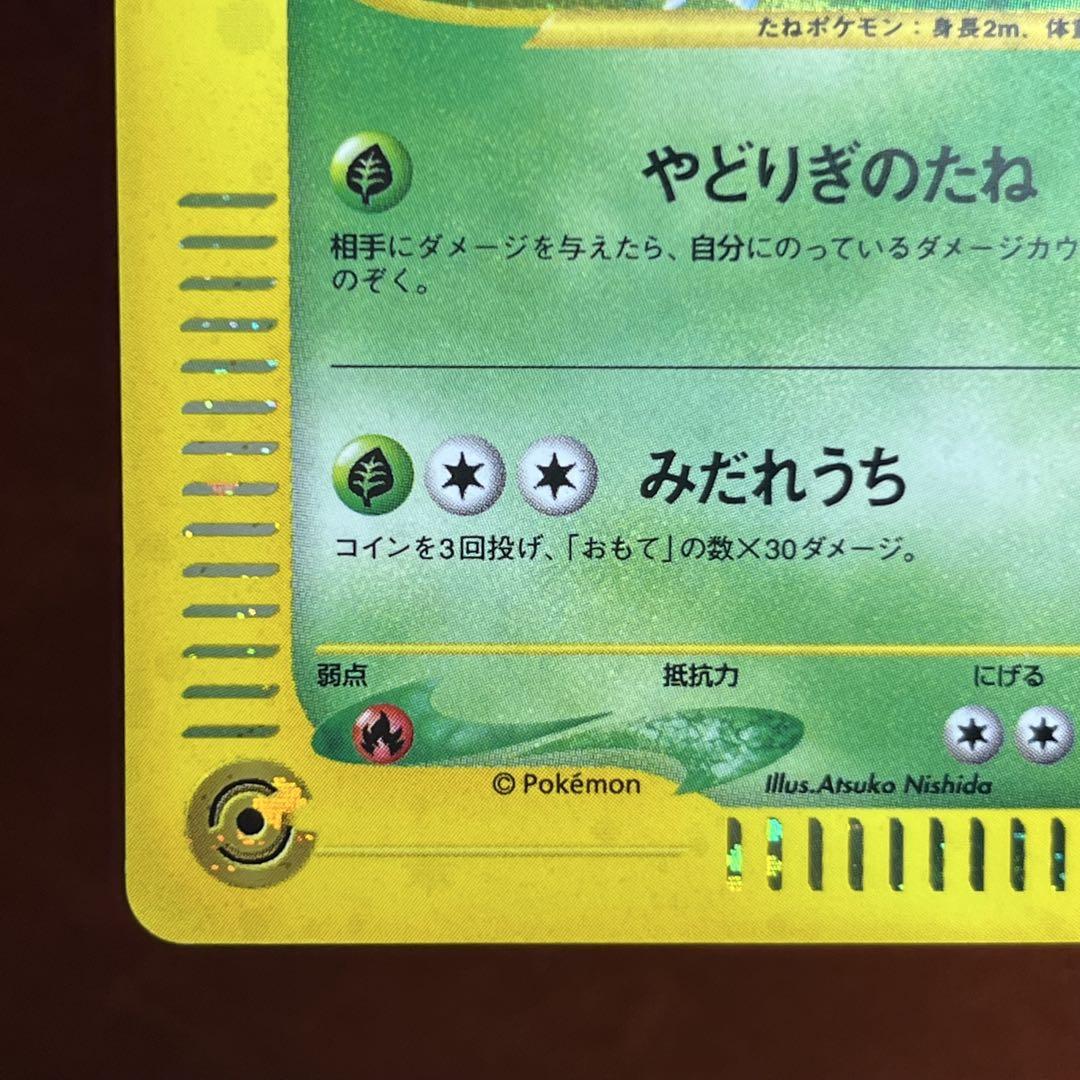 フシギバナ　eカード　強全面ホロ　十字ホロ　トリプルゲット　Venusaur