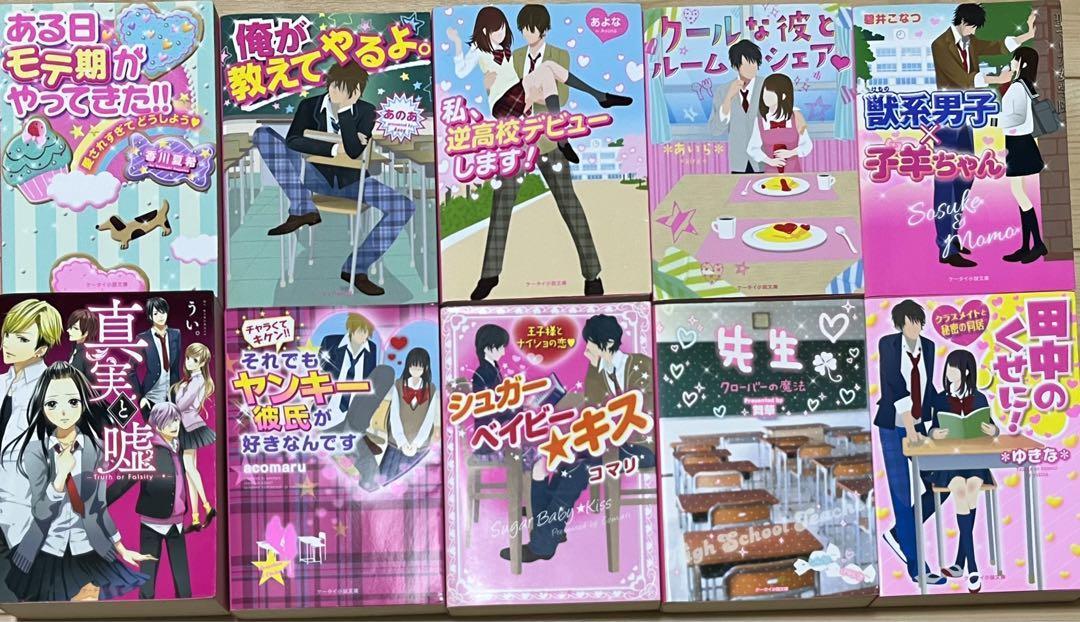 小説セット  野いちご