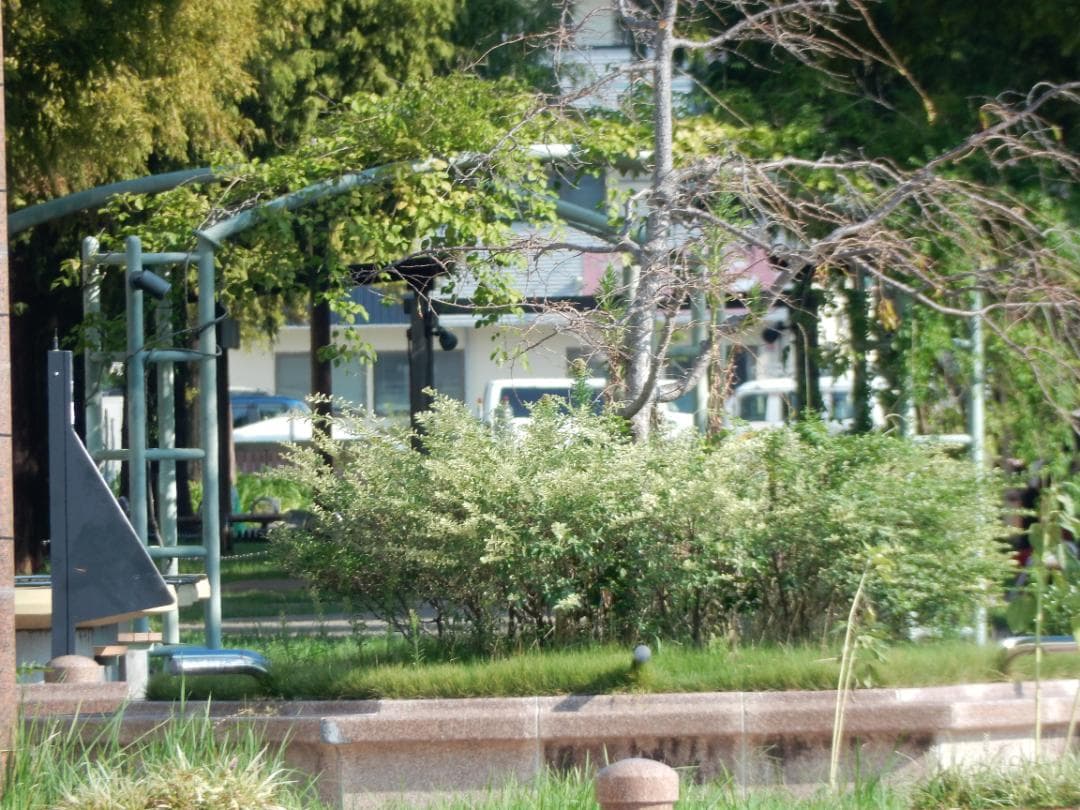 Nikon Coolpix S9700 ニコン クールピクス 動作確認済