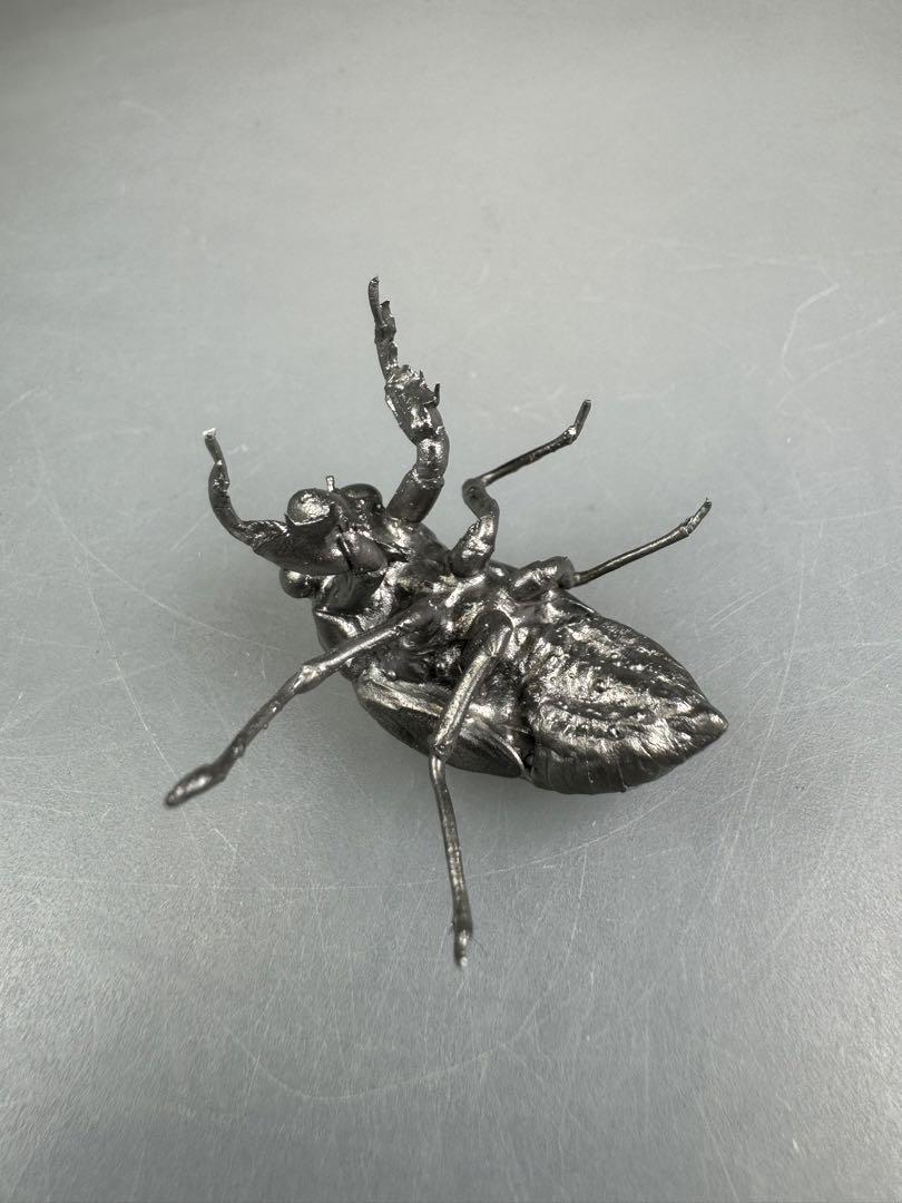 蝉 蝉の抜け殻 セミ オブジェ 虫好き - メルカリ