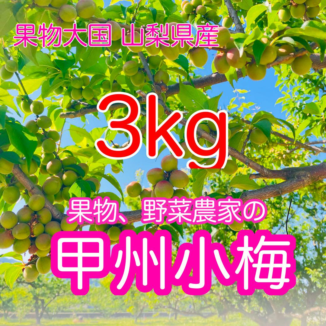 【お値下げしました！！】【予約販売】甲州小梅 20kg 山梨県産 小梅 青梅 お値下げしました！！】【予約販売】甲州小梅 3kg 山梨県産 小梅