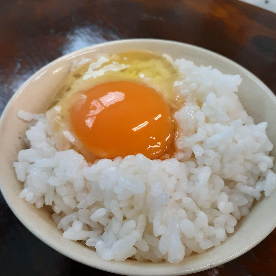 平飼い卵80個12/9常温発送