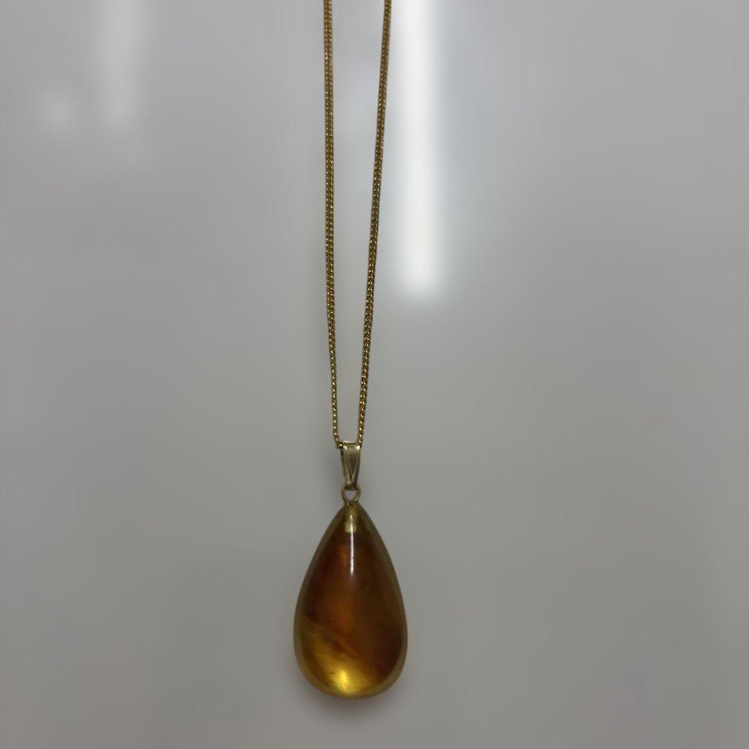 【新品未使用】⭐️琥珀ネックレス⭐️鼈甲チェーンネックレス⭐️天然の本琥珀と本鼈甲⭐️ 本べっ甲 鼈甲 天然琥珀 ペンダント ネックレス - メルカリ