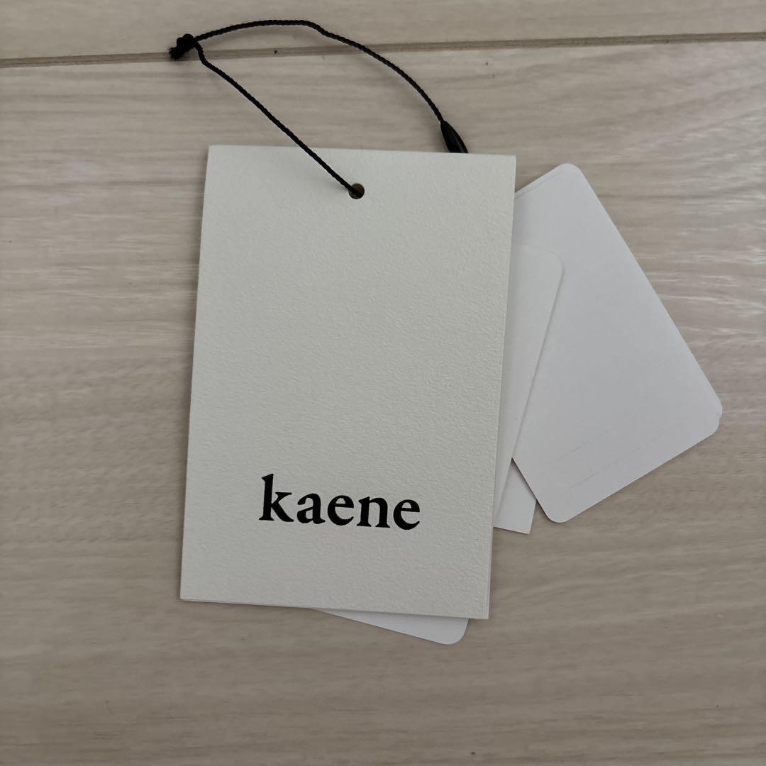 kaene ジャガードスリーブドレス　サイズ34