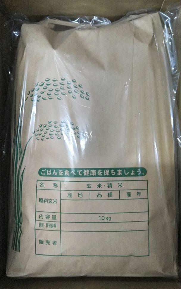 米 10kg 令和6年 静岡県産(無洗米)