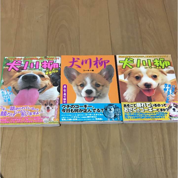 コーギースタイルvol.１～４