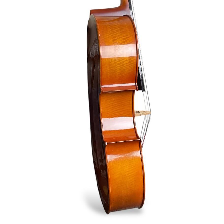 ケース付 用cello