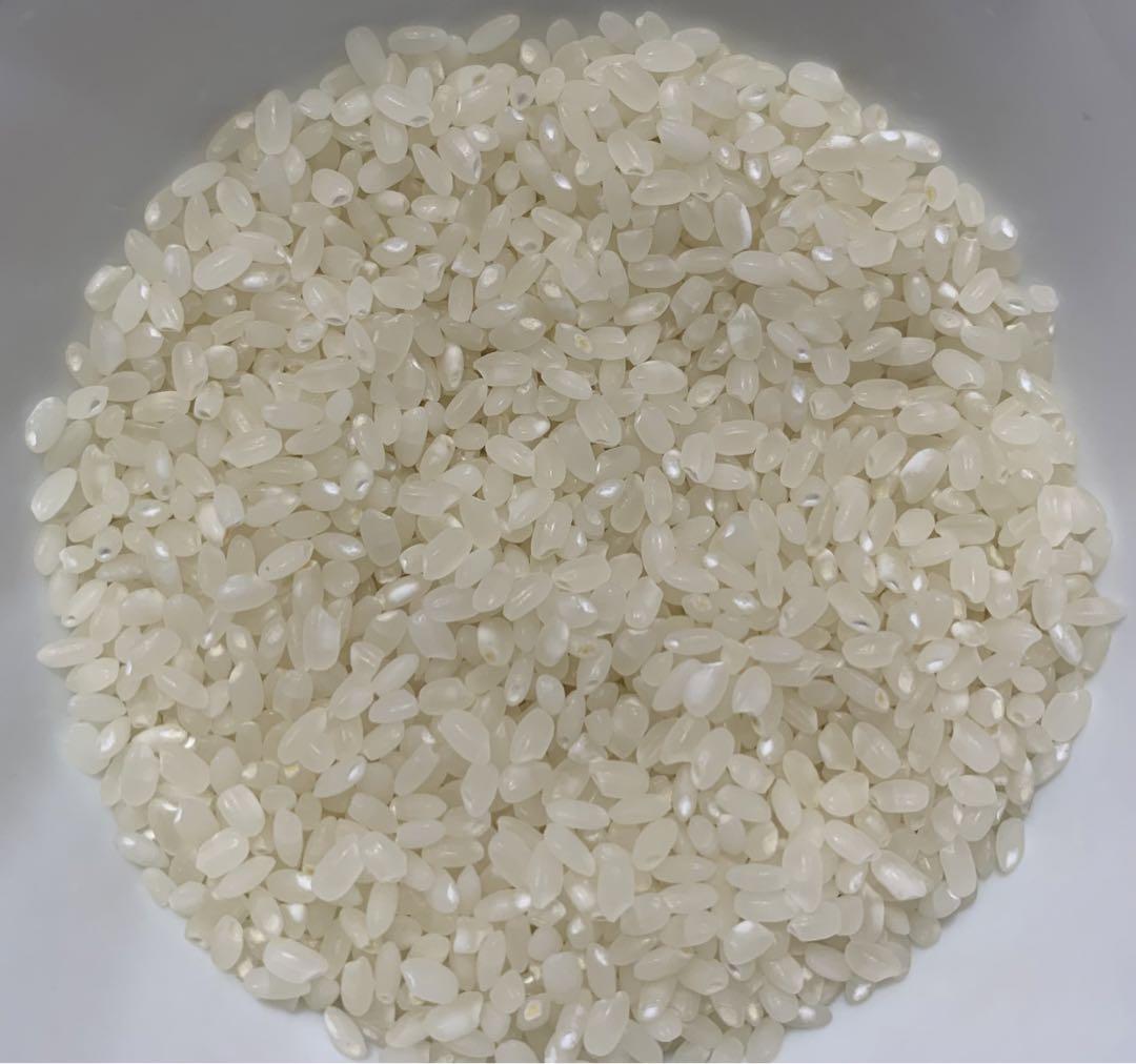 令和5年　北海道産　ゆめぴりか　白米　20kg