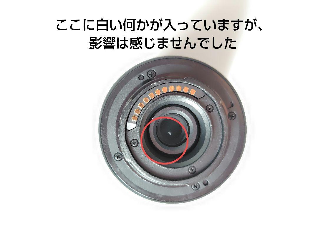 〈ジャンク〉 ミラーレス一眼 LUMIX DMC-GX1