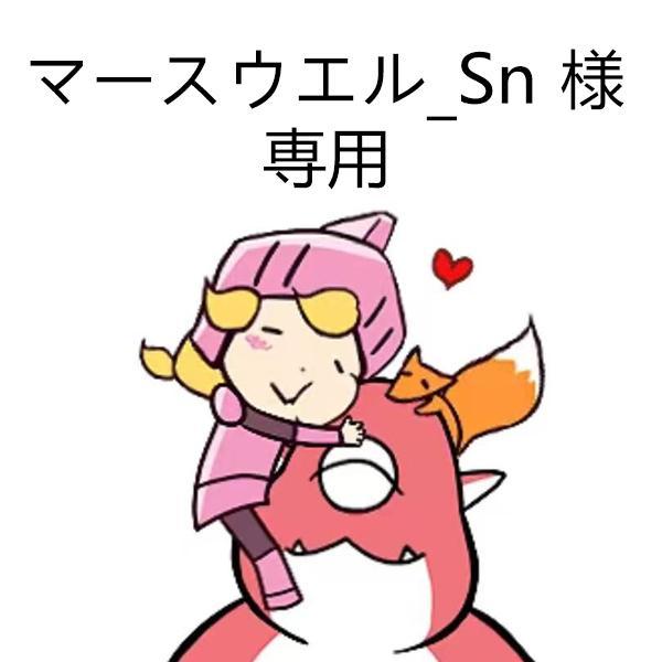 マースウエル_Sn ページ