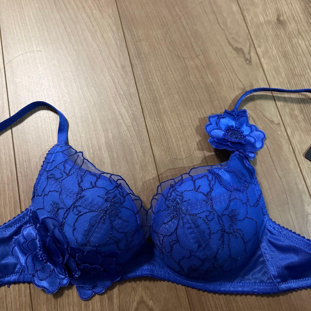 大人気新作 エーゲ海 イア サルート 新品 ブラ タンガ セット Mのみ 65