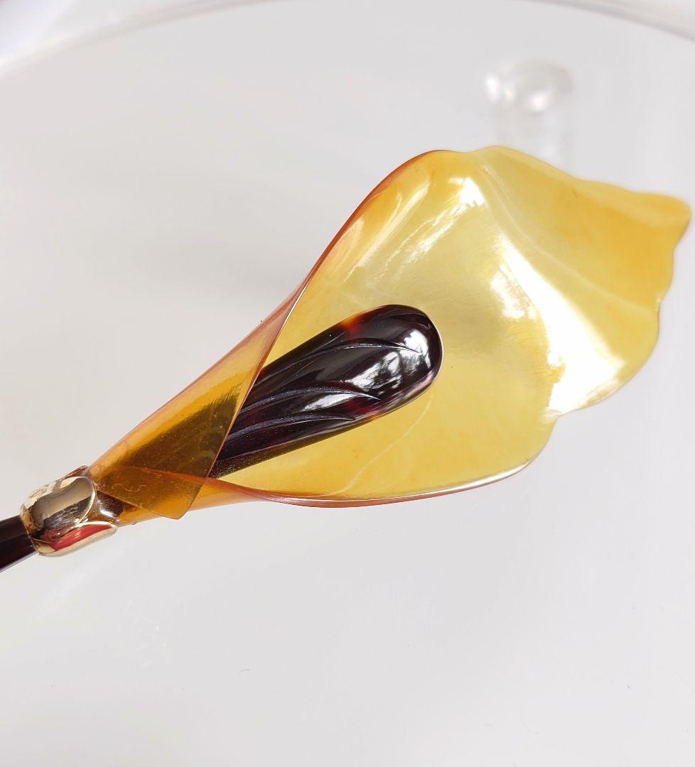 本鼈甲 並甲